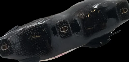 Bont Jet 3-punt pink legacy