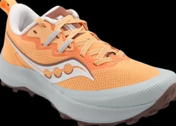Saucony Peregrine 14 flax/clove jaune
