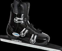 Zandstra 1383 L.C.